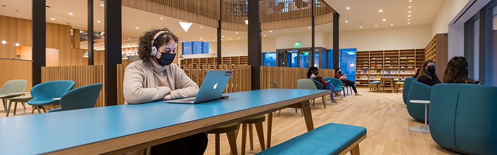 Student studying in Neilson Library