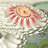image detail from Mortimer Rare Book Collection selection