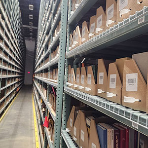 Shelves in the Library Annex