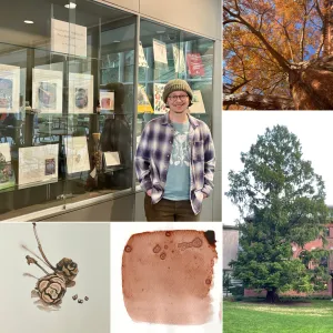 Montage of botanical inkmaking exhibit