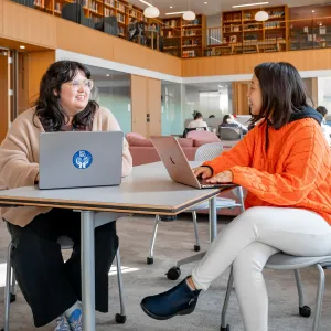 Research Librarian working with student in the Learning Commons