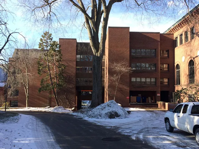 The original elm tree, formerly located outside the Neilson Library.