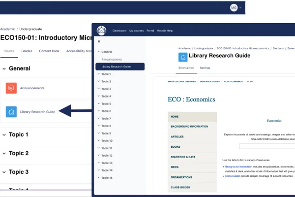 Screen shot of Library Research Guides in Moodle