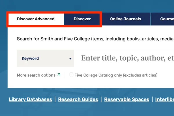 Screenshot of new Libraries' website search box