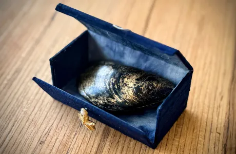 "Fragile Perfection" by Suzanne Moore